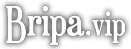 Logo de Bripa.vip