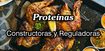 Las proteínas, constructoras y reguladoras.